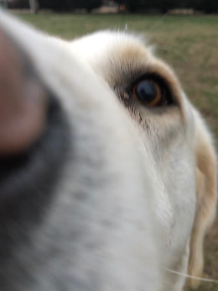 2A8DD234-D004-4269-B0C2-6387B6BDCB2C