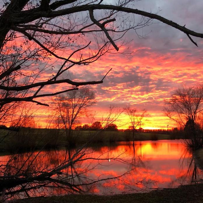 46926910_1171007609722558_3611263589727338496_n